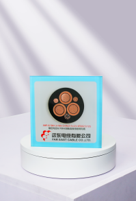 岸電電纜